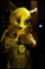 [< previous image]