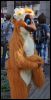 [next image >]