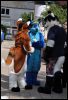 [< previous image]