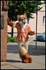 [< previous image]