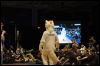 [< previous image]