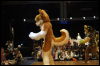 [< previous image]