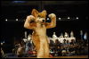 [< previous image]