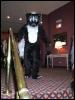 [< previous image]