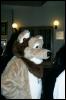 [< previous image]