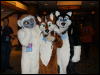 [< previous image]