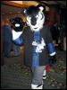 [< previous image]
