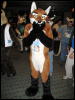 [< previous image]