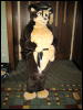 [< previous image]