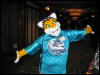 [< previous image]