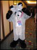 [< previous image]