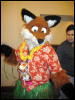 [< previous image]
