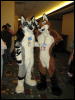 [< previous image]