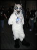 [< previous image]