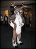 [< previous image]