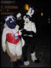 [< previous image]