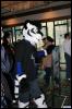 [< previous image]