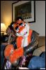 [< previous image]