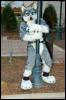 [< previous image]