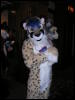 [< previous image]