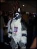 [< previous image]