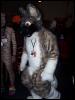 [< previous image]