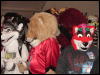 [< previous image]