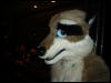 [< previous image]