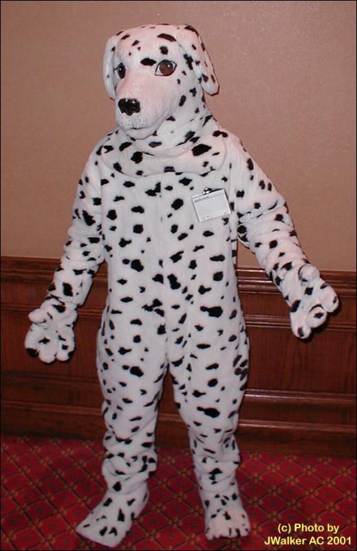 [dia-dalmatian.jpg]