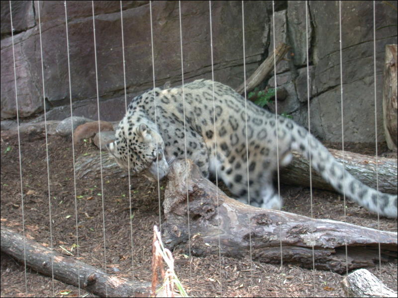 [Timduru_PhillyZoo033.jpg]