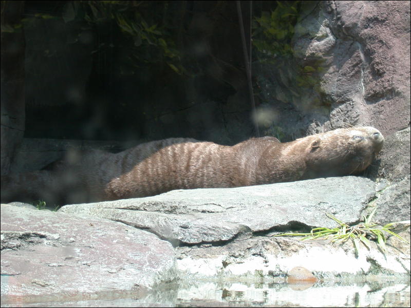 [Timduru_PhillyZoo077.jpg]