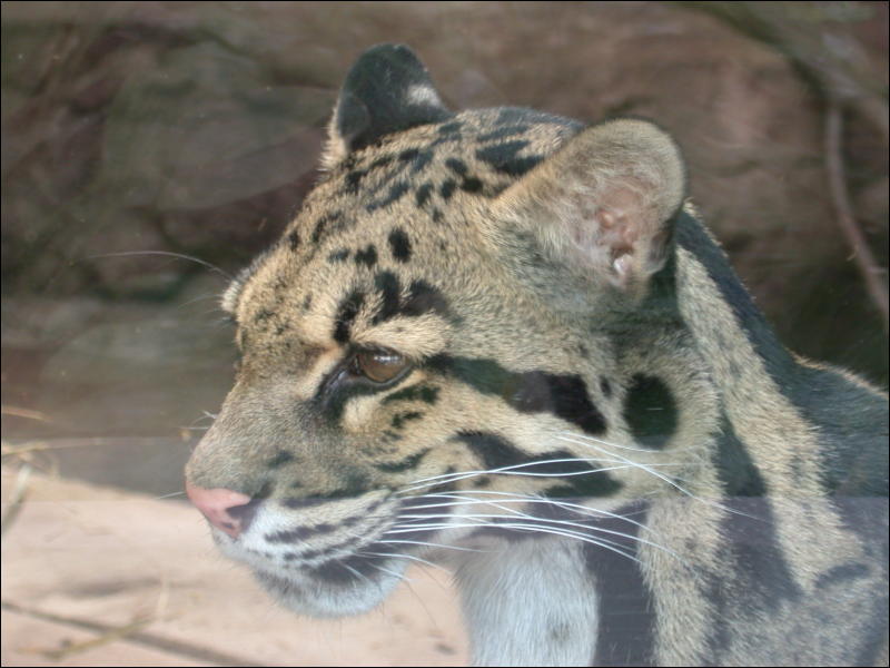 [Timduru_PhillyZoo093.jpg]