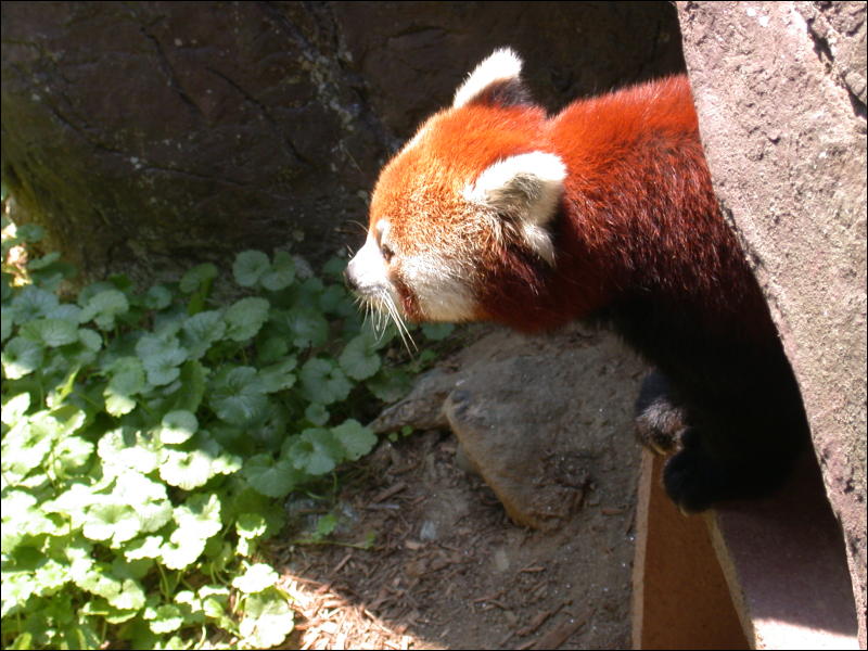 [Timduru_PhillyZoo095.jpg]