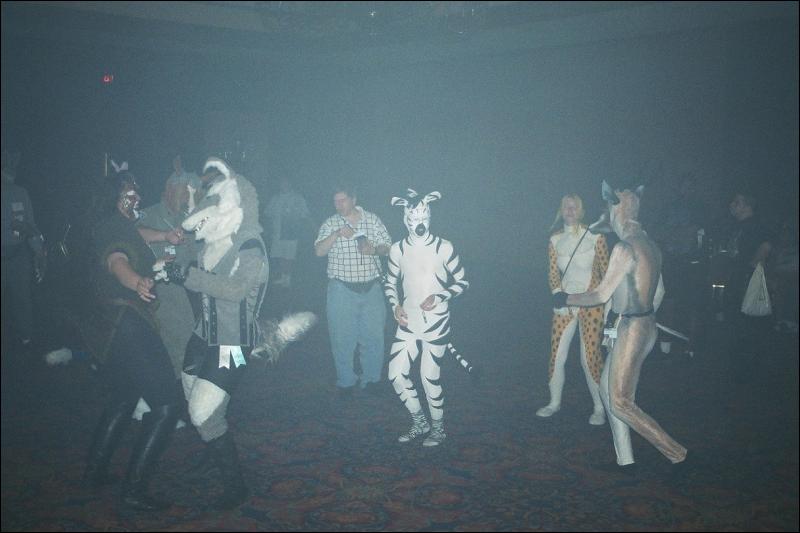 [Furbo_AC2002_00460009.jpg]