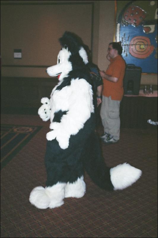 [Furbo_AC2002_ace01.jpg]