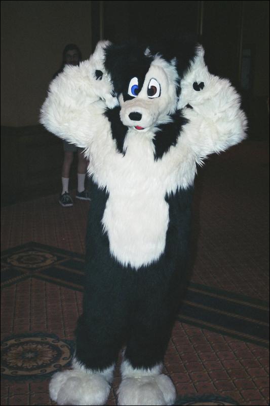 [Furbo_AC2002_ace03.jpg]