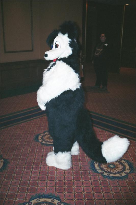 [Furbo_AC2002_ace04.jpg]