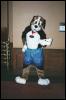 [Furbo AC2002 bernie]