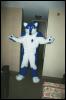 [Furbo AC2002 river01]