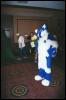 [Furbo AC2002 river]