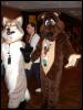 [Timduru AC20020711 19-TJCoyote]