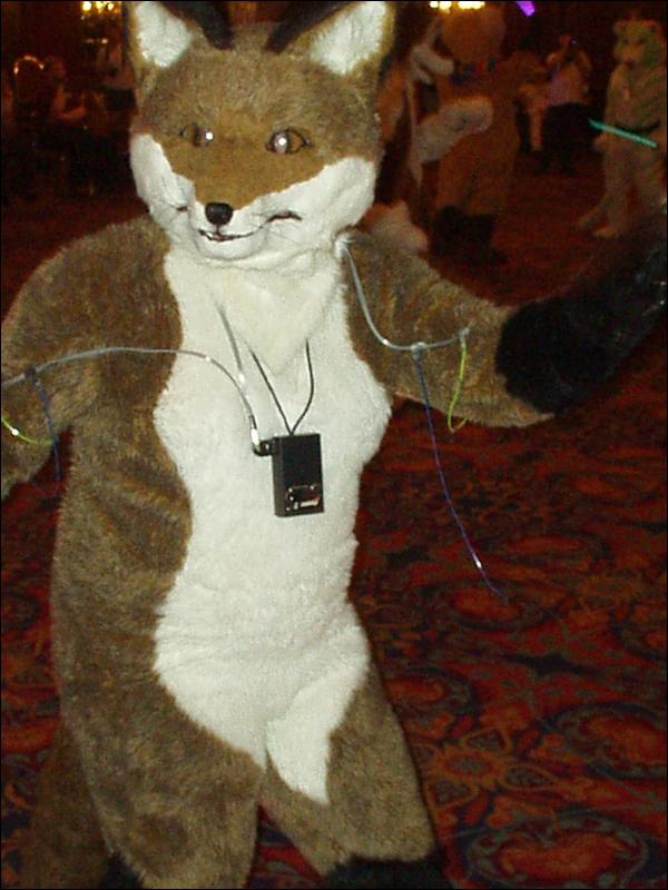 [TonyRingtail_AC2003_19.jpg]