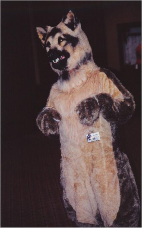 [Furbo_AC2003_006.jpg]