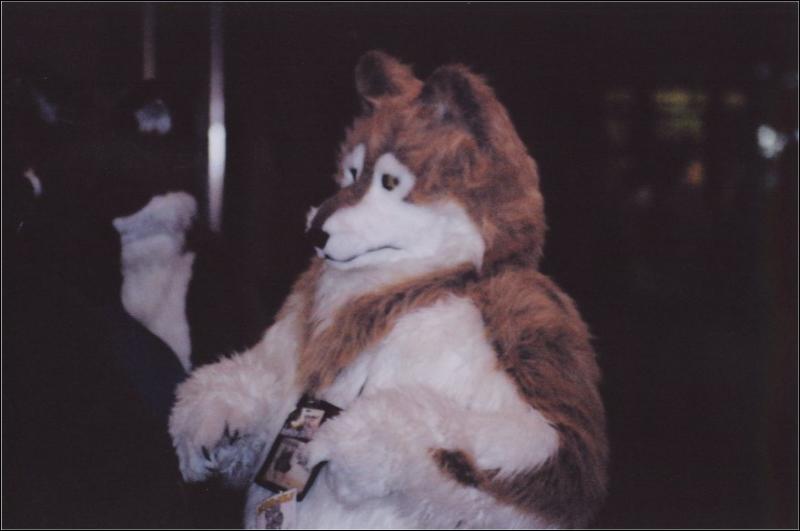 [Furbo_AC2003_008.jpg]