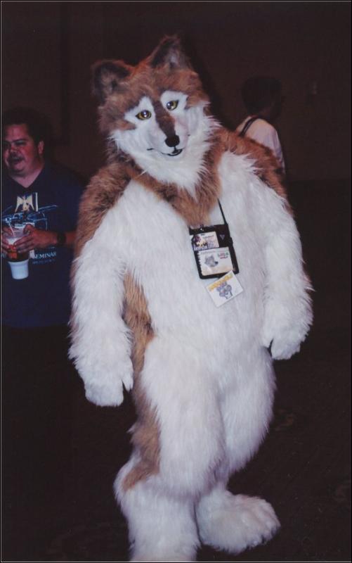 [Furbo_AC2003_009.jpg]