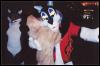 [Furbo AC2003 014]