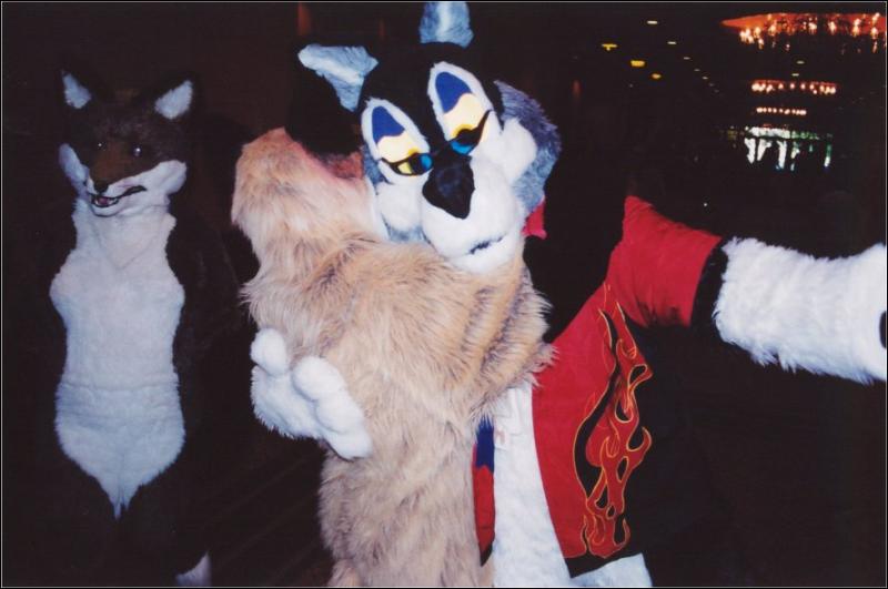 [Furbo_AC2003_014.jpg]