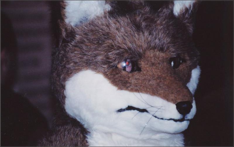 [Furbo_AC2003_015.jpg]