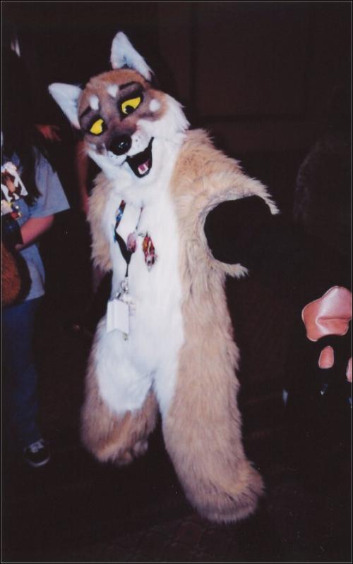 [Furbo_AC2003_017.jpg]