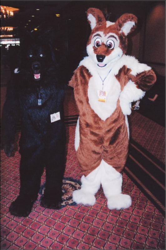 [Furbo_AC2003_018.jpg]